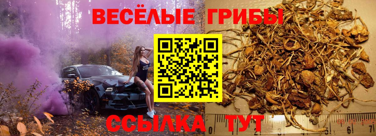 Псилоцибиновые грибы ЛСД Волжск