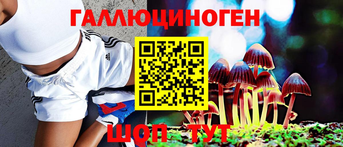 Волжск  Псилоцибиновые грибы Cubensis  Вход с VPN 